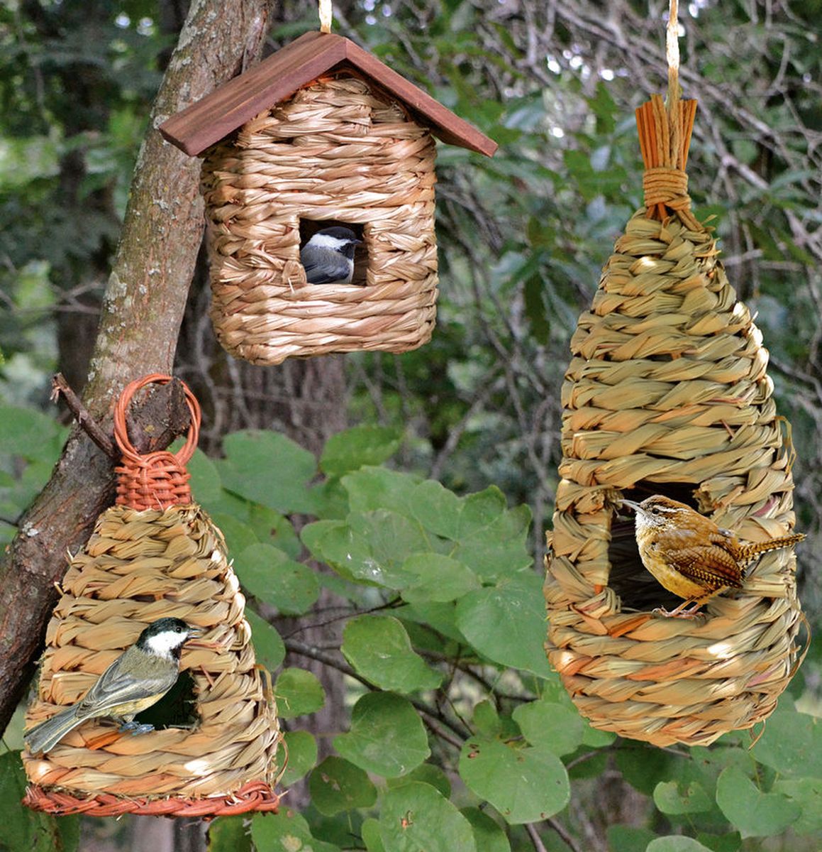 Hanging Grass Roosting Pocket Collection Set of 3